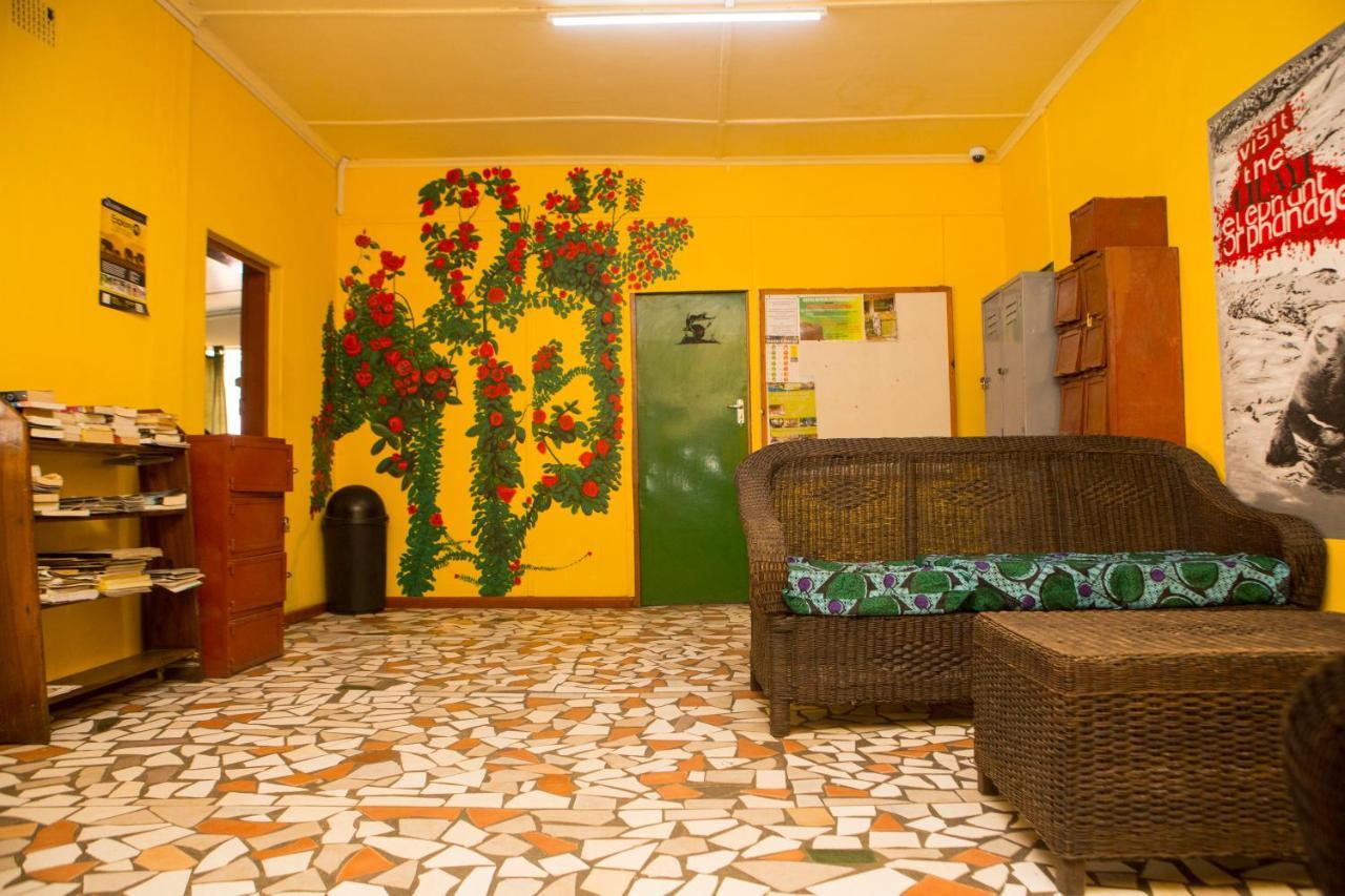 Hostel Lusaka Backpackers Exteriér fotografie